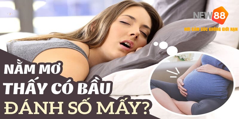 Mơ Thấy Có Bầu Đánh Con Gì? Giải Mã Giấc Mơ Mang Thai & Con Số May Mắn 1 Mơ Thấy Có Bầu Đánh Con Gì?